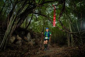 BIB: 
                            <button type="button" onclick="openModal(22177779)" class="btn btn-primary btn-sm float-right btn-popup" data-toggle="modal" data-target=".modal-high-quality">
                        <i class="fas fa-shopping-cart"></i> Add to Cart
                    </button>
                                            <button type="button" onclick="isThisMe(22177779, true)" class="btn btn-success btn-sm float-right btn-popup btn-isme hidden" data-toggle="tooltip" data-placement="bottom" title="นี่คือรูปของคุณใช่ไหม คลิกที่นี่เพื่อเอาเข้าอัลบั้ม">
                        <i class="fas fa-plus"></i> Add to album
                    </button>
                    <button type="button" onclick="isThisMe(22177779, false)" class="btn btn-warning btn-sm float-right btn-popup btn-isnotme hidden">
                        <i class="fas fa-ban"></i> Remove from album
                    </button>